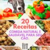 20-receitas-para-caes